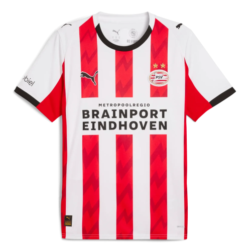 frame a PSV Eindhoven shirt - PSV Eindhoven ShirtFrame